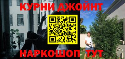 PSILOCYBIN Заводоуковск
