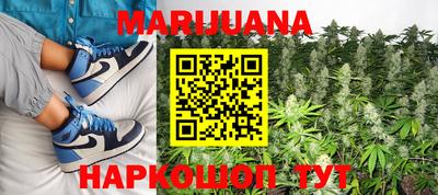 PSILOCYBIN Заводоуковск
