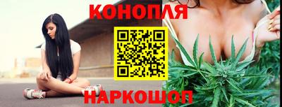 PSILOCYBIN Заводоуковск