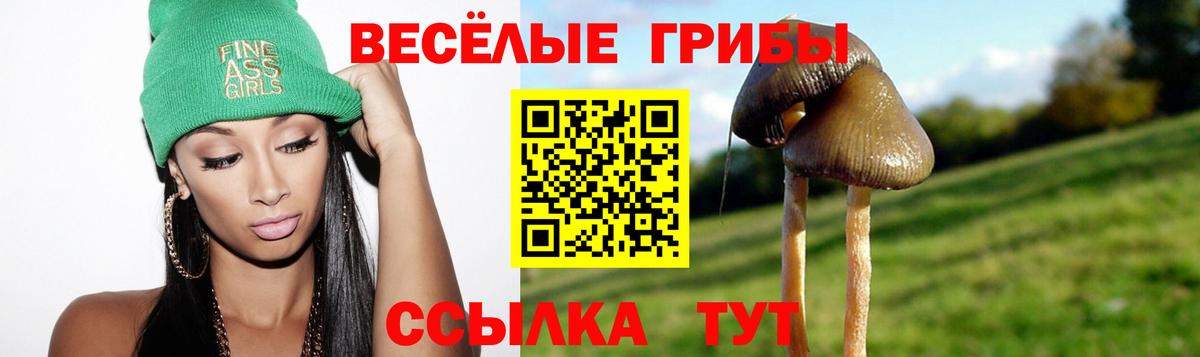Псилоцибиновые грибы Magic Shrooms  Вход с VPN  Бутурлиновка 